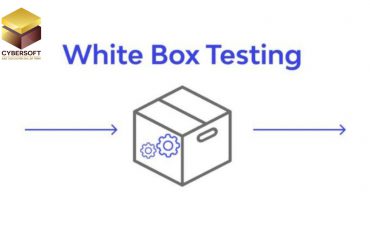 Kỹ thuật kiểm thử hộp trắng cho Tester: Bắt bug tận gốc