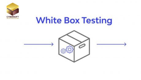 Kỹ thuật kiểm thử hộp trắng cho Tester: Bắt bug tận gốc